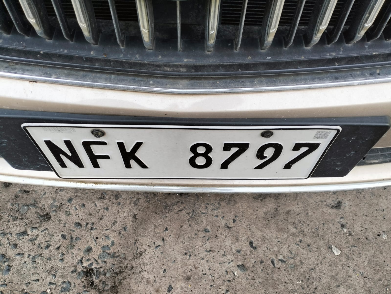 2021 Geely Emgrand AT Sedan for sale in Parañaque (NFK8797) – photo 2