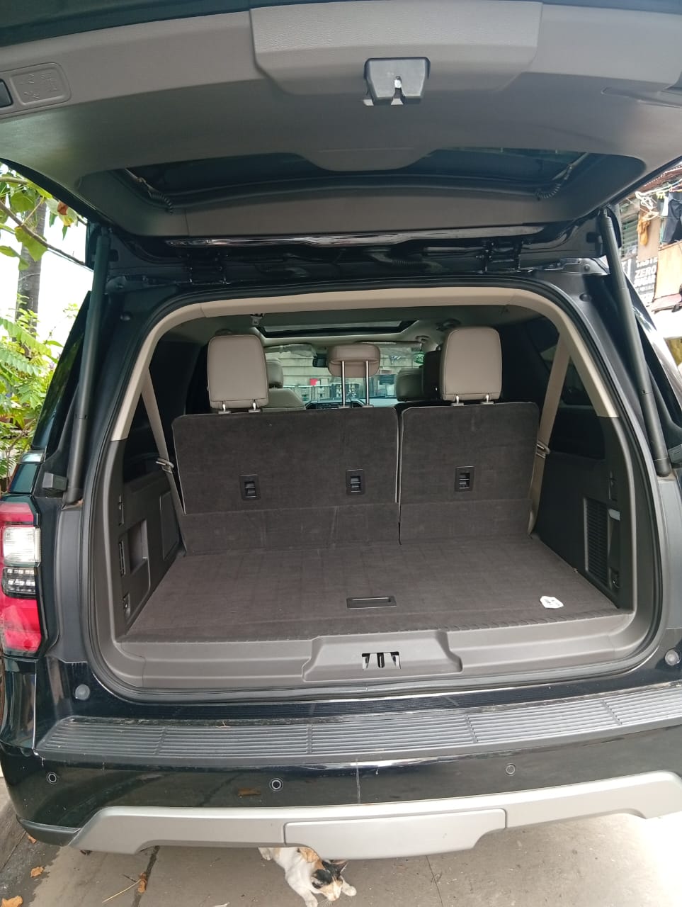 2019 Ford Expedition 3.5L SUV for sale in Parañaque (NGN5240) – photo 14